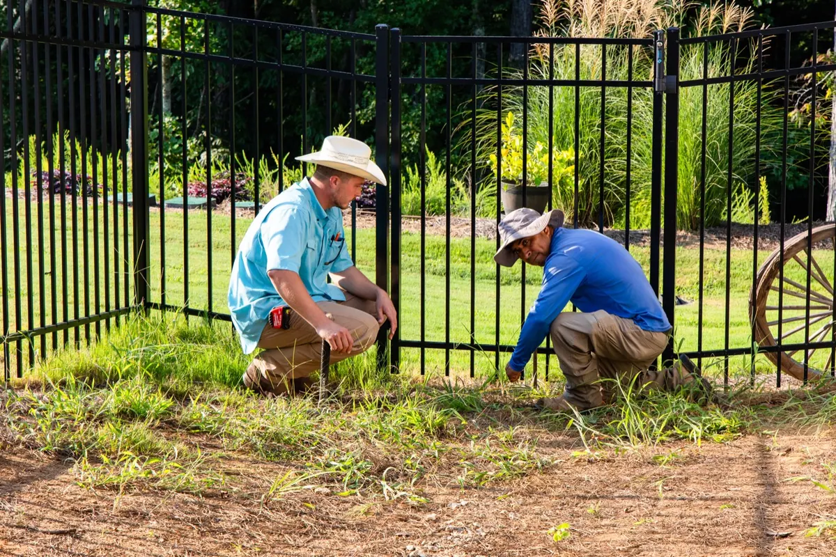 Two crew members planting beside a black metal fence