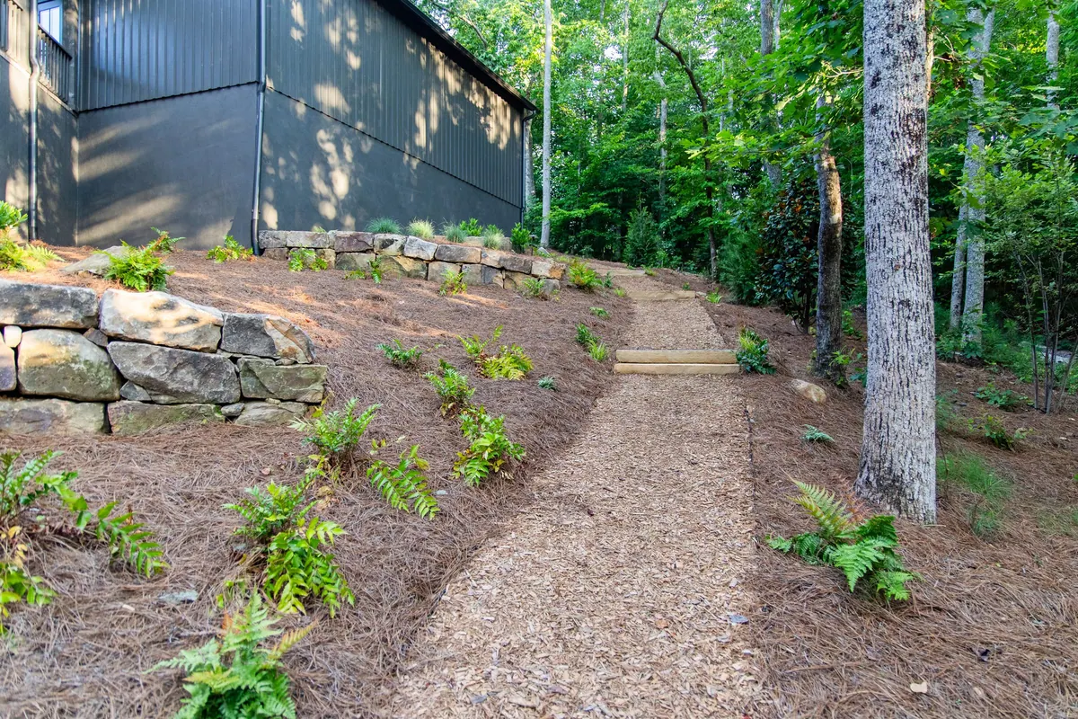 After: timber steps and a pine-straw path through the planted hillside that used to erode