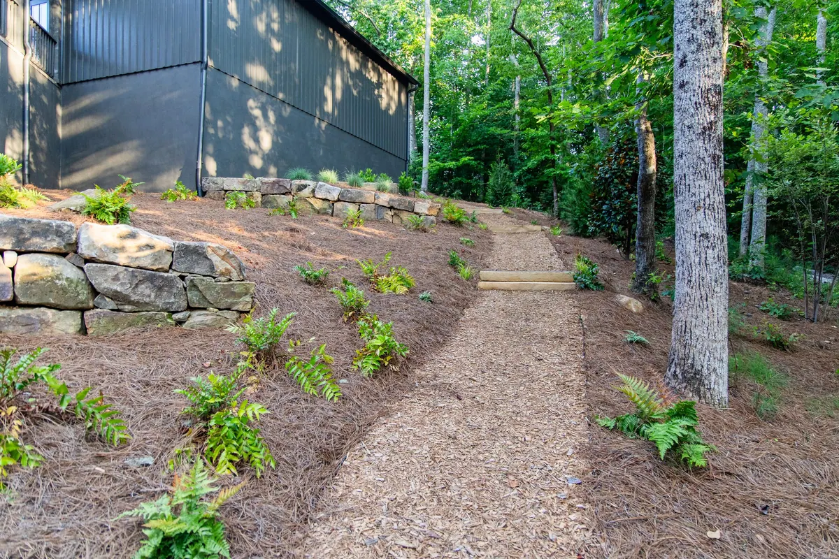 A once-eroding Milton hillside stabilized with timber steps, boulders, and deep-rooted planting, the Blueberry Ridge project by GreenTree Landscapes