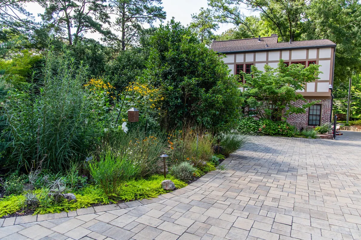 The drive curving past deep pollinator borders toward the house