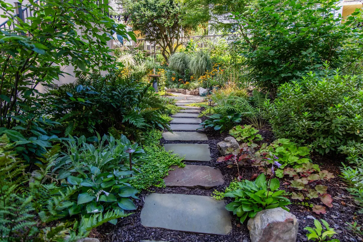 Stepping-stone path through ferns and shade planting
