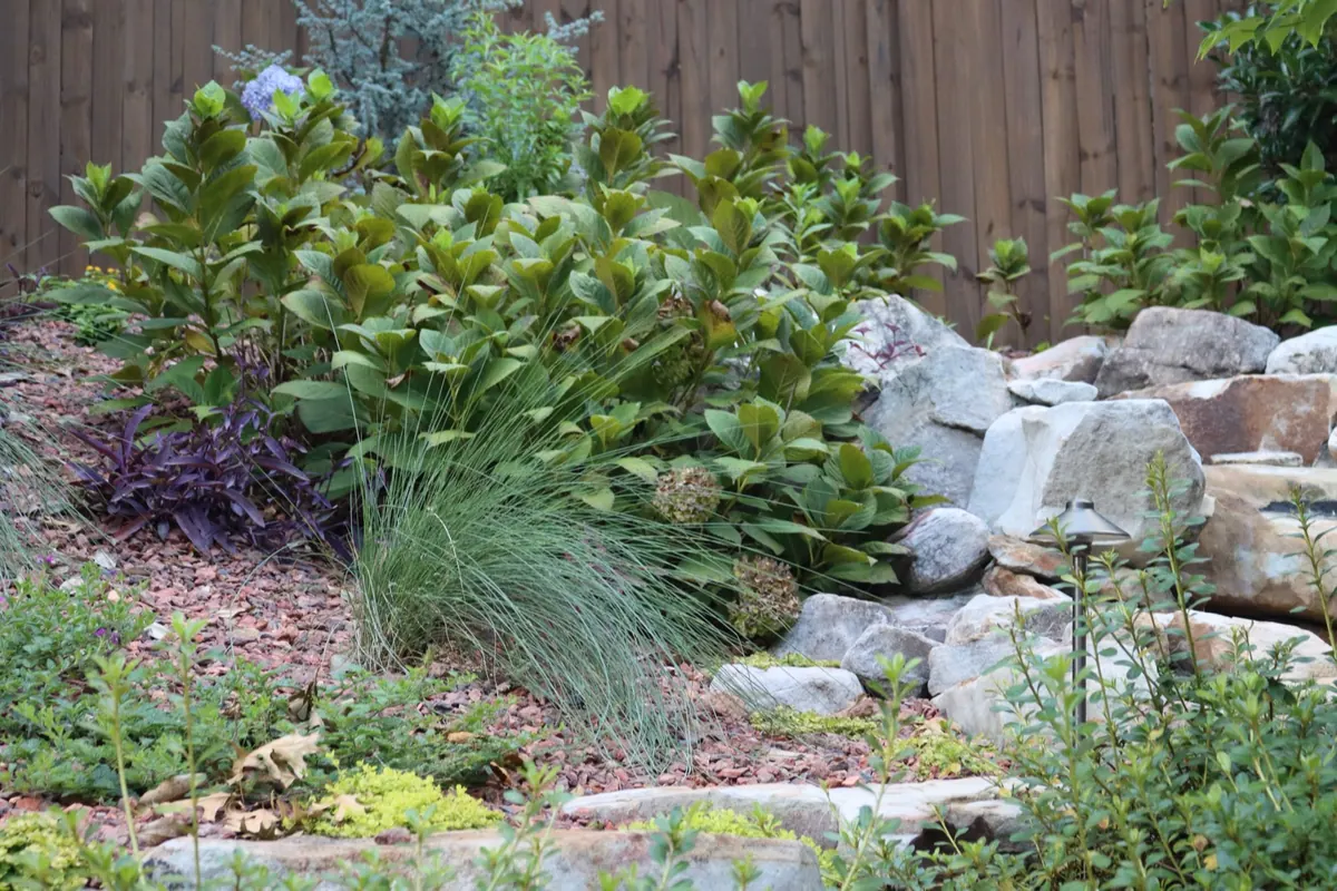 Boulder rock garden with layered plantings